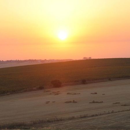 Apartamento Cervantes Conil Conil De La Frontera Zewnętrze zdjęcie